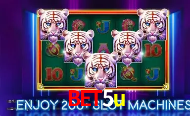 Descubra a Essência do bet5u: Nossa História e Compromissos
